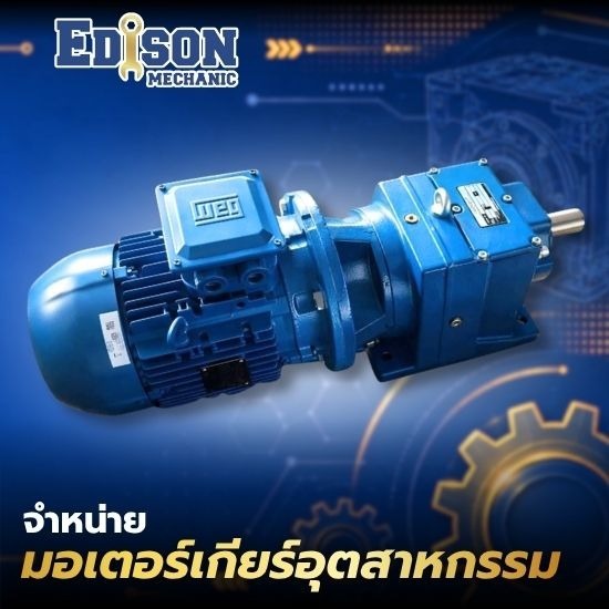 จำหน่ายมอเตอร์เกียร์อุตสาหกรรม สมุทรปราการ มอเตอร์เกียร์อุตสาหกรรม สมุทรปราการ  มอเตอร์เกียร์โรงงานเหล็ก สมุทรปราการ  ร้านขายเกียร์ทดรอบ สมุทรปราการ  มอเตอร์เกียร์ IP55 สมุทรปราการ 